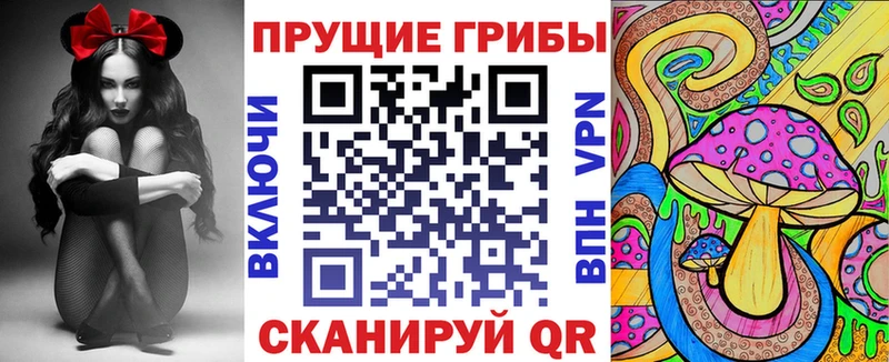Галлюциногенные грибы Psilocybine cubensis  закладки  Никольск 